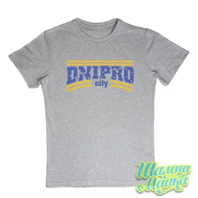 Прикольные футболки: Dnipro City 2 grey